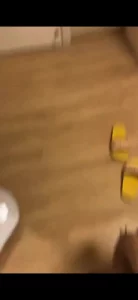 2016绿公司年会完整版