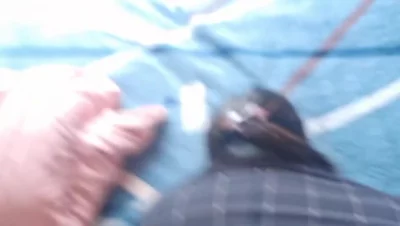 白天操逼给对面看